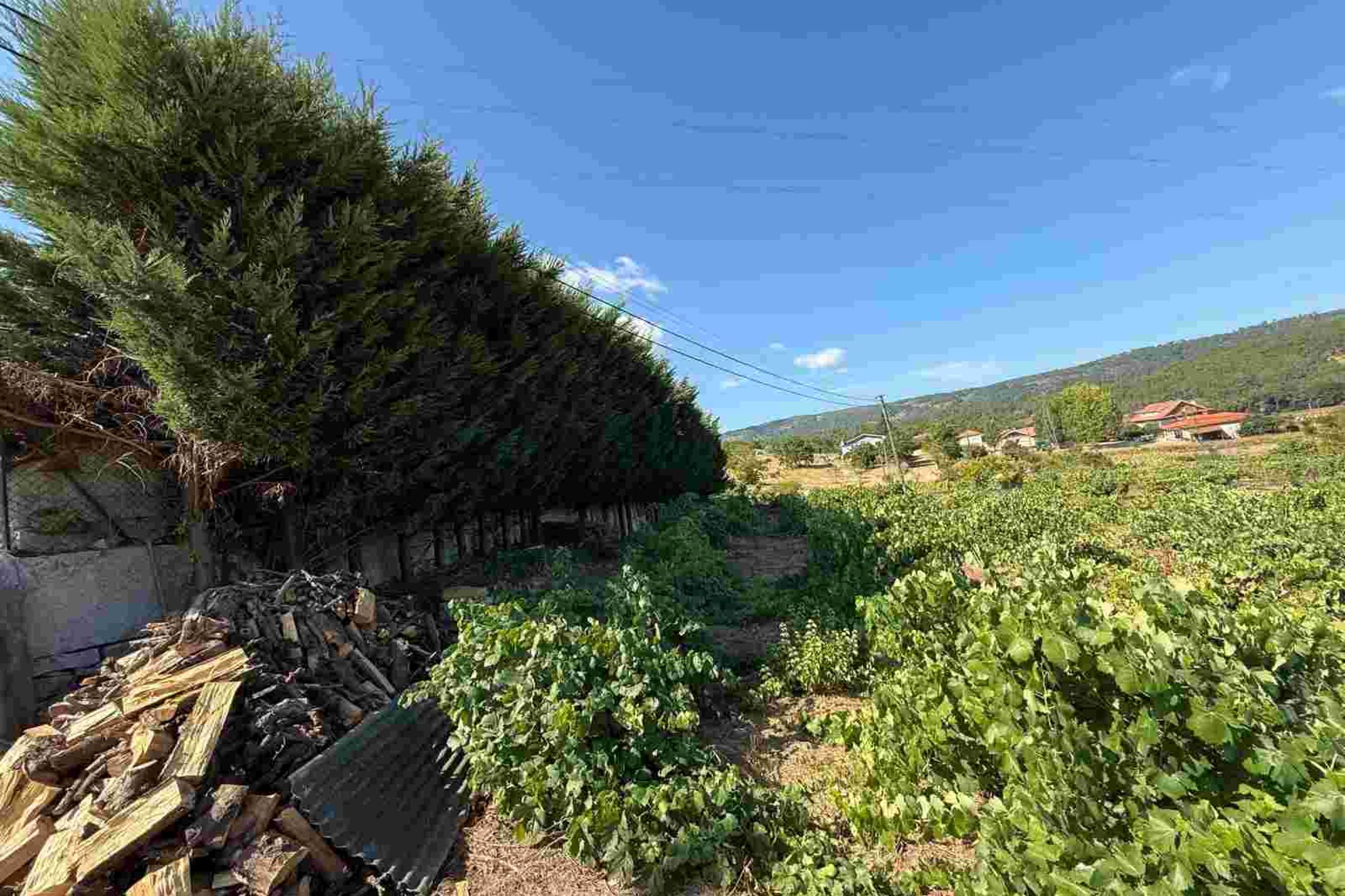 WhatsApp Image 2025-08-20 at 12.15.00