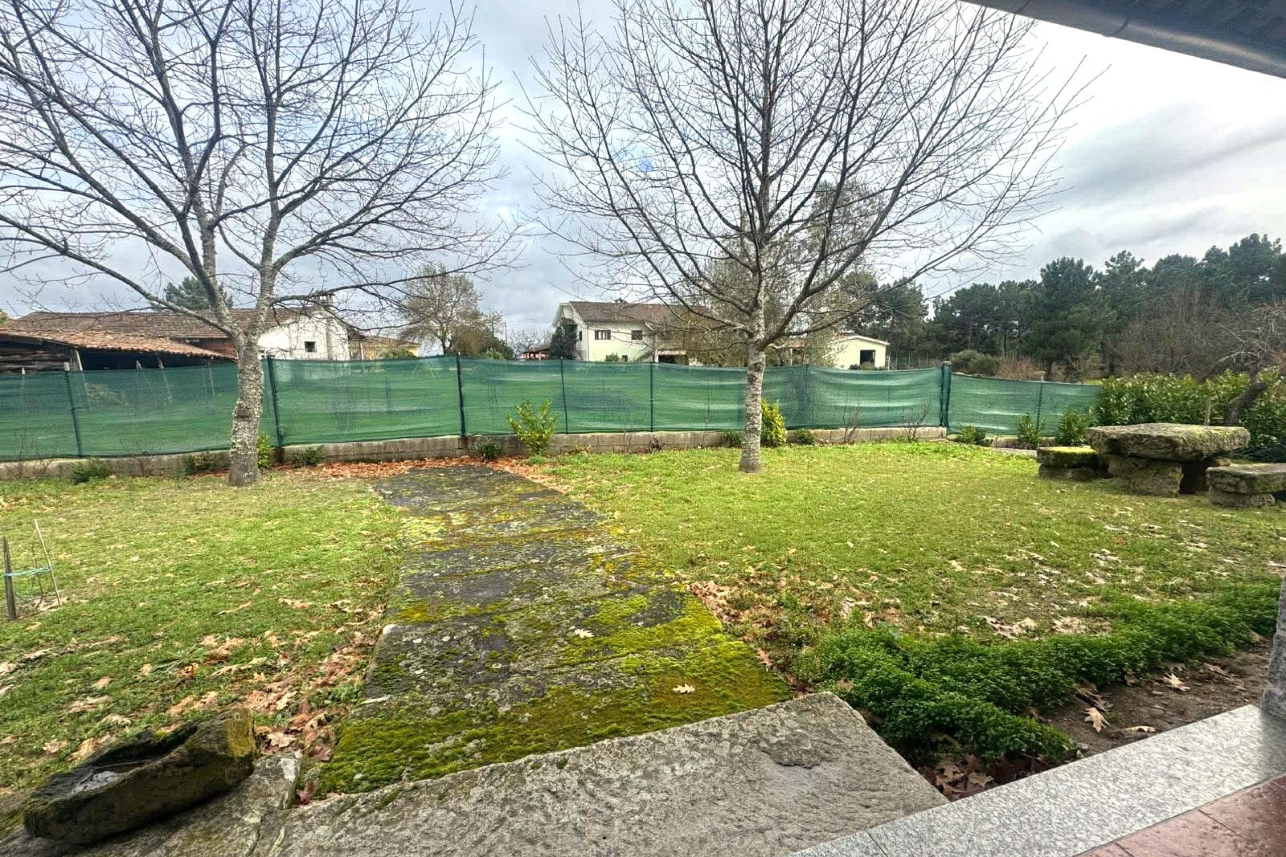 WhatsApp Image 2026-03-17 at 10.26.26