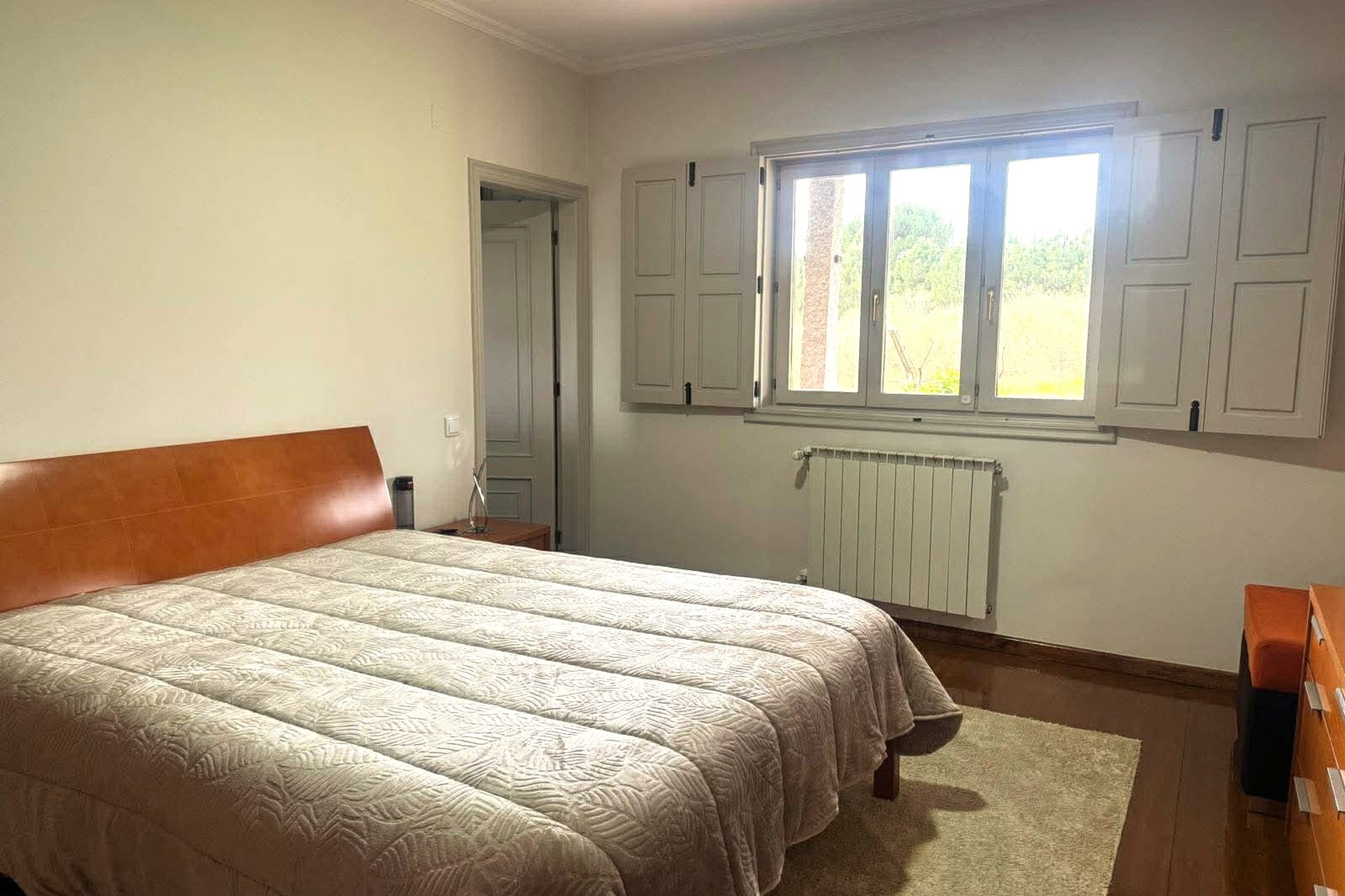 WhatsApp Image 2026-03-17 at 10.26.30